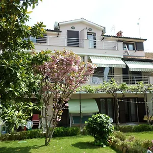 Kamelija Rovinj